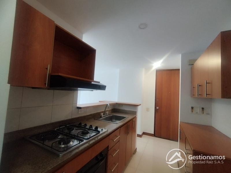 WhatsApp Image 2026-02-10 at 3.21.25 PM.jpeg